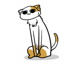 221-03 sticker #13881405