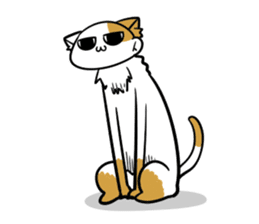 221-03 sticker #13881405