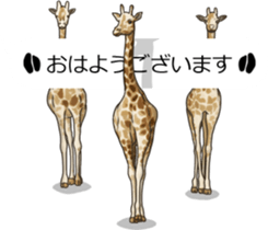 Balloon safari park sticker #13881422