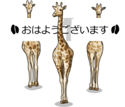 Balloon safari park sticker #13881422