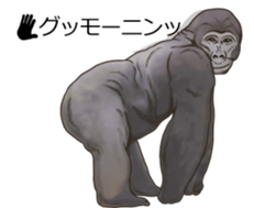 Balloon safari park sticker #13881423