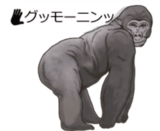 Balloon safari park sticker #13881423