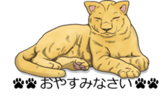 Balloon safari park sticker #13881424