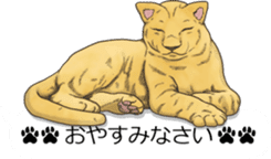 Balloon safari park sticker #13881424