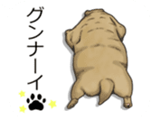 Balloon safari park sticker #13881425