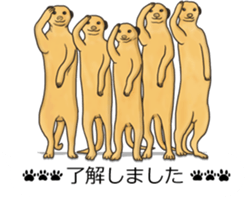 Balloon safari park sticker #13881434