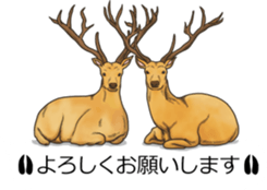 Balloon safari park sticker #13881436