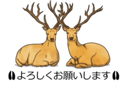 Balloon safari park sticker #13881436