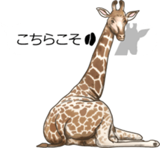 Balloon safari park sticker #13881437