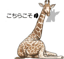 Balloon safari park sticker #13881437