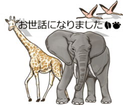 Balloon safari park sticker #13881440