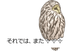 Balloon safari park sticker #13881441