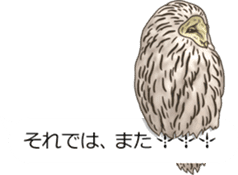 Balloon safari park sticker #13881441