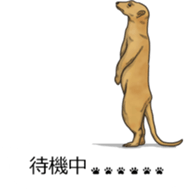 Balloon safari park sticker #13881442