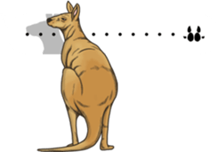 Balloon safari park sticker #13881459