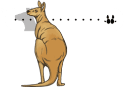 Balloon safari park sticker #13881459