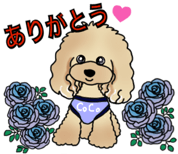 CoCo the Poodle sticker #13882654