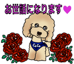 CoCo the Poodle sticker #13882655