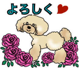 CoCo the Poodle sticker #13882656