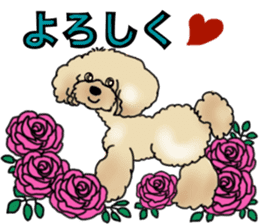 CoCo the Poodle sticker #13882656