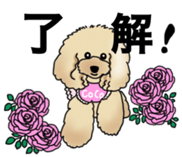CoCo the Poodle sticker #13882657