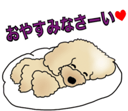CoCo the Poodle sticker #13882659