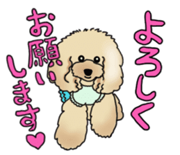 CoCo the Poodle sticker #13882660