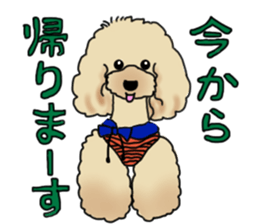 CoCo the Poodle sticker #13882661