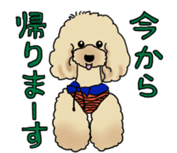 CoCo the Poodle sticker #13882661