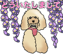CoCo the Poodle sticker #13882663