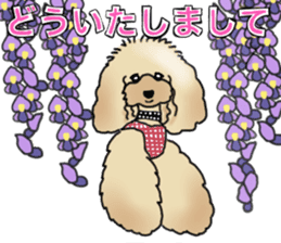 CoCo the Poodle sticker #13882663