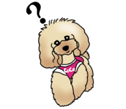 CoCo the Poodle sticker #13882665