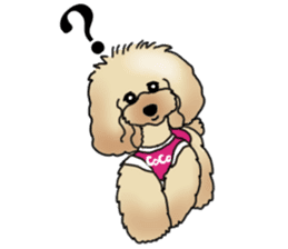 CoCo the Poodle sticker #13882665
