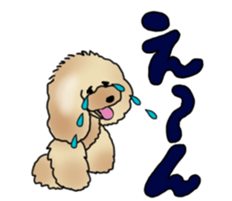 CoCo the Poodle sticker #13882667