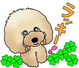 CoCo the Poodle sticker #13882668
