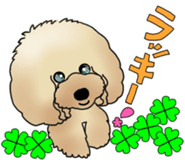 CoCo the Poodle sticker #13882668