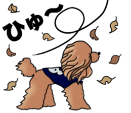 CoCo the Poodle sticker #13882676