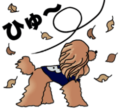 CoCo the Poodle sticker #13882676