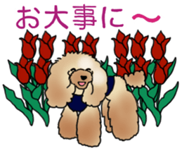 CoCo the Poodle sticker #13882678