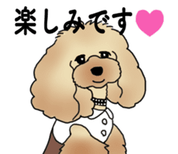 CoCo the Poodle sticker #13882682