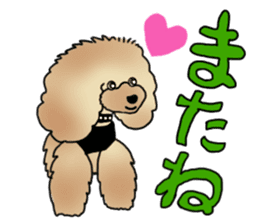 CoCo the Poodle sticker #13882683