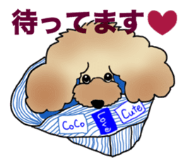CoCo the Poodle sticker #13882684