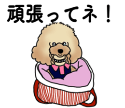 CoCo the Poodle sticker #13882687