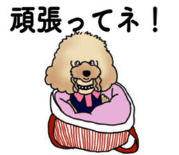CoCo the Poodle sticker #13882687