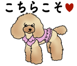 CoCo the Poodle sticker #13882688