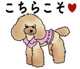 CoCo the Poodle sticker #13882688