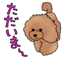 CoCo the Poodle sticker #13882689