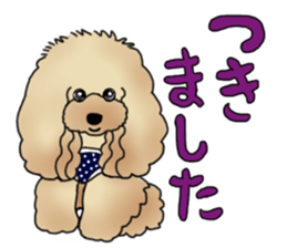 CoCo the Poodle sticker #13882690