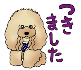 CoCo the Poodle sticker #13882690