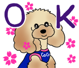 CoCo the Poodle sticker #13882691